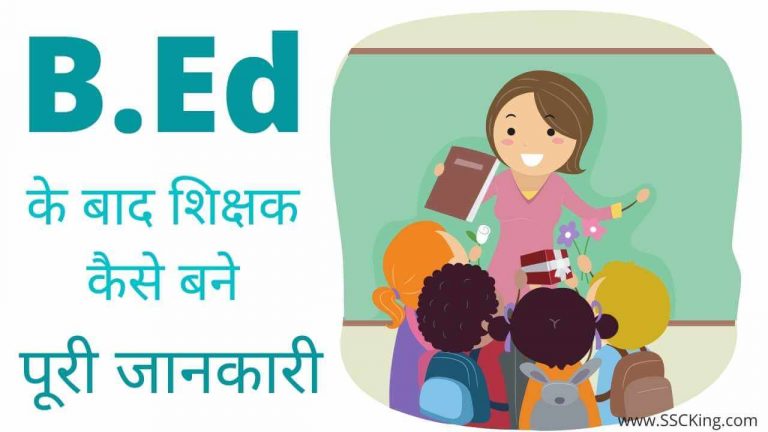 शिक्षक कैसे बन सकते हैं B.Ed के बाद । How to become Teacher in India